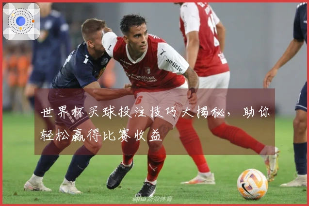 世界杯买球投注技巧大揭秘，助你轻松赢得比赛收益