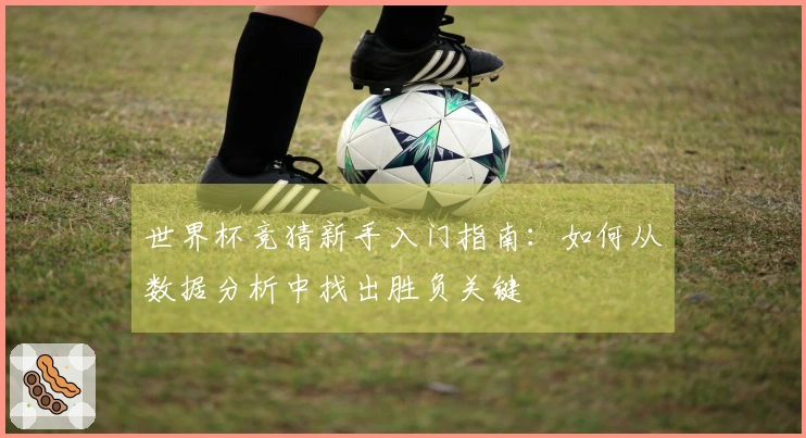 世界杯竞猜新手入门指南：如何从数据分析中找出胜负关键